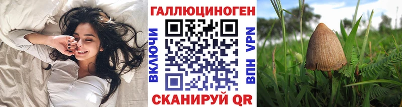 купить закладку  Кандалакша  Галлюциногенные грибы Magic Shrooms 