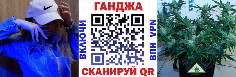 Конопля план дарк нет наркотические препараты Кандалакша